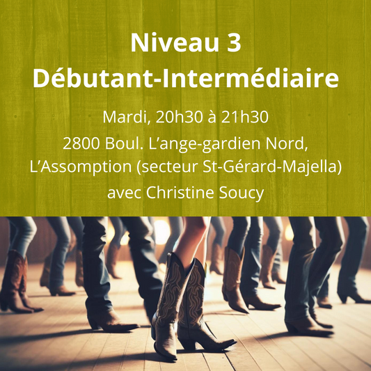 Niveau 3 (Débutant-intermédiaire) - L'Assomption